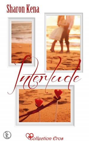 Book cover of Interlude