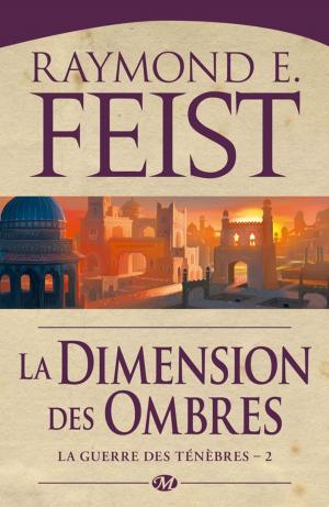 Book cover of La Dimension des ombres