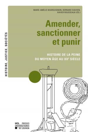 Cover of the book Amender, sanctionner et punir by Quentin Letesson
