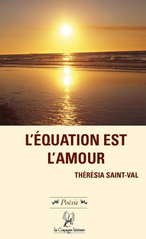 Book cover of L'équation est l'amour