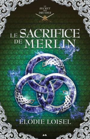 Book cover of Le sacrifice de Merlin