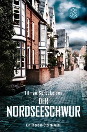Cover of the book Der Nordseeschwur by J. P. David