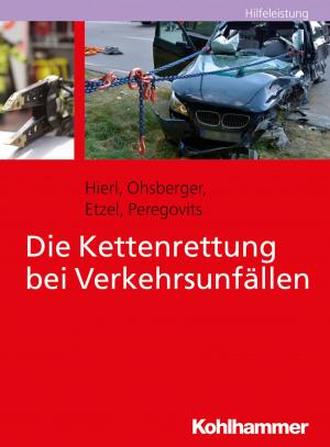 Cover of the book Die Kettenrettung bei Verkehrsunfällen by Birgit Werner, Traugott Böttinger, Stephan Ellinger