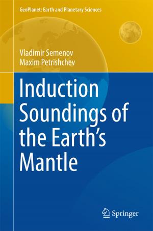 Cover of the book Induction Soundings of the Earth's Mantle by Jennifer M. Gidley