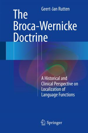 Cover of the book The Broca-Wernicke Doctrine by Bernardo Nicoletti