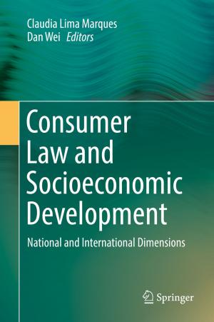 Cover of the book Consumer Law and Socioeconomic Development by Kadoya Tatsuhiko