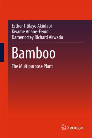 Cover of the book Bamboo by Nikita V. Chukanov, Alexandr D. Chervonnyi