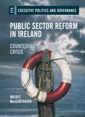 Cover of the book Public Sector Reform in Ireland by Markus Raffel, Christian E. Willert, Fulvio Scarano, Christian J. Kähler, Steve T. Wereley, Jürgen Kompenhans