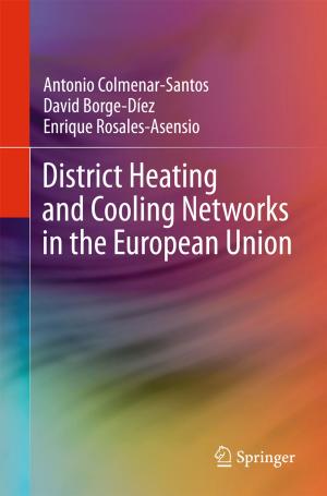 Cover of the book District Heating and Cooling Networks in the European Union by M. Hadi Amini, S. S. Iyengar, Kianoosh G. Boroojeni