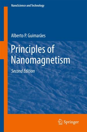 Cover of the book Principles of Nanomagnetism by Jiri Benovsky