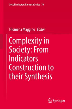 Cover of the book Complexity in Society: From Indicators Construction to their Synthesis by Sunder John Boopalan