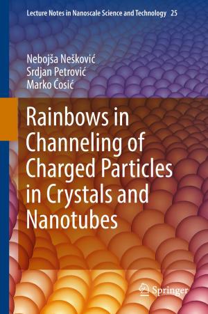 Cover of the book Rainbows in Channeling of Charged Particles in Crystals and Nanotubes by Daniela Angelina  Jelinčić