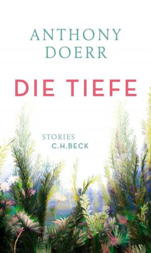 Cover of the book Die Tiefe by Jennifer Lucas