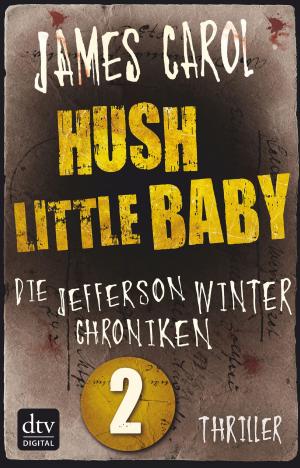 bigCover of the book Hush Little Baby by 