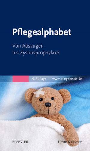 Cover of the book Pflegealphabet by John Shapiro