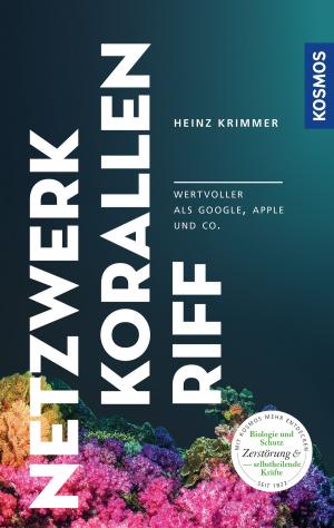 Cover of the book Netzwerk Korallenriff by Linda Chapman