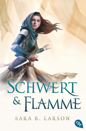 Cover of the book Schwert & Flamme by Dana Sheen