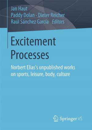 Cover of the book Excitement Processes by Klaus von Sicherer, Eva Čunderlíková