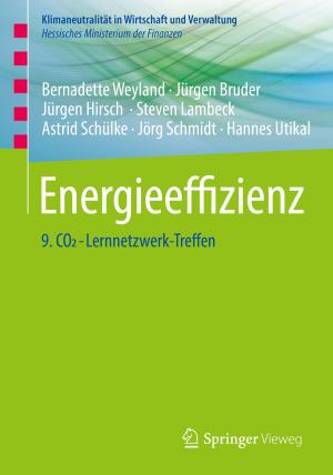 Cover of the book Energieeffizienz by Edalfo Lanfranchi