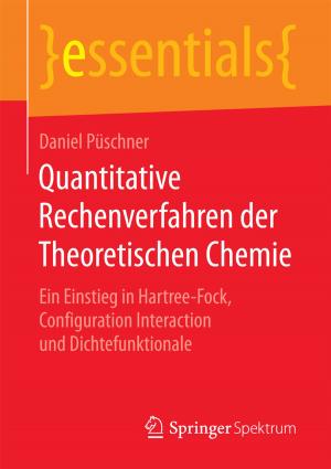 Cover of the book Quantitative Rechenverfahren der Theoretischen Chemie by Wolfgang Vieweg