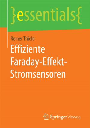 Cover of Effiziente Faraday-Effekt-Stromsensoren