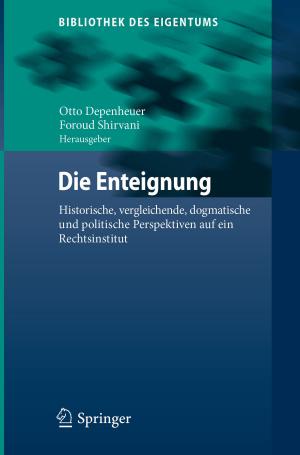 Cover of the book Die Enteignung by Hans-Jürgen Andreß, Katrin Golsch, Alexander W. Schmidt