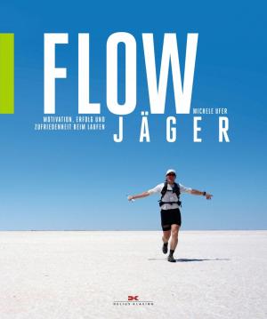 Cover of the book Flow-Jäger by Jochen Donner, Daniel Simon