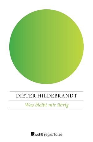 Cover of the book Was bleibt mir übrig by Margret Steenfatt