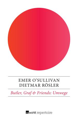 Cover of the book Umwege by Daniela Dahn