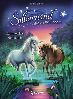 bigCover of the book Silberwind, das weiße Einhorn 4 - Sturmwolkes Geheimnis by 