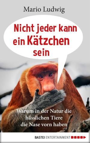 Cover of the book Nicht jeder kann ein Kätzchen sein by Garth Nix