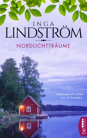 Cover of the book Nordlichtträume by Meagan McKinney
