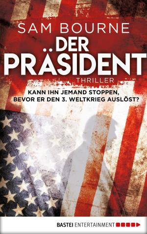 Book cover of Der Präsident