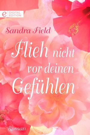 Cover of the book Flieh nicht vor deinen Gefühlen by Steve Hogan