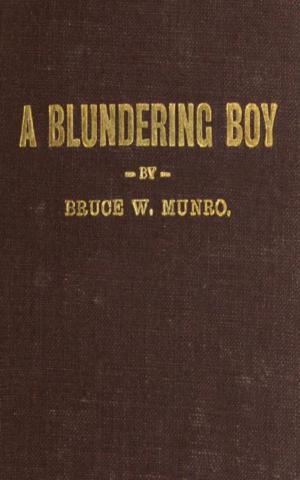 Cover of the book A Blundering Boy by Robert W. Chambers