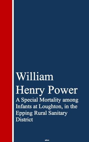 bigCover of the book A Special Mortality among Infants at Loughton, ining Rural Sanitary District by 