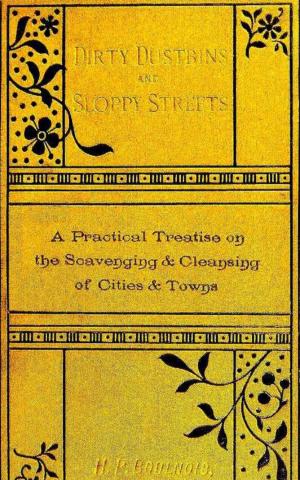 Cover of the book Dirty Dustbins and Sloppy Streets by J. Willis Clark