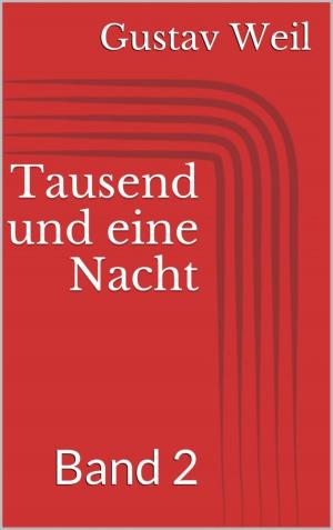 Book cover of Tausend und eine Nacht, Band 2
