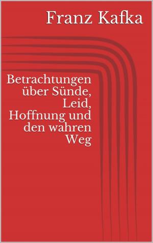 Cover of the book Betrachtungen über Sünde, Leid, Hoffnung und den wahren Weg by Danny Wilson