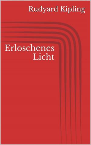 Cover of the book Erloschenes Licht by Bharath Dhanasekaran