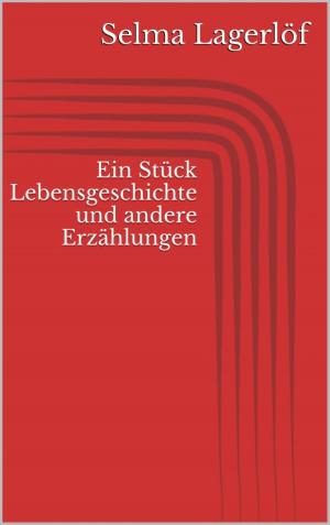 Cover of the book Ein Stück Lebensgeschichte und andere Erzählungen by Hermann Schladt (Hrsg.)