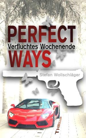 Cover of the book Perfect Ways by Erno Fischer