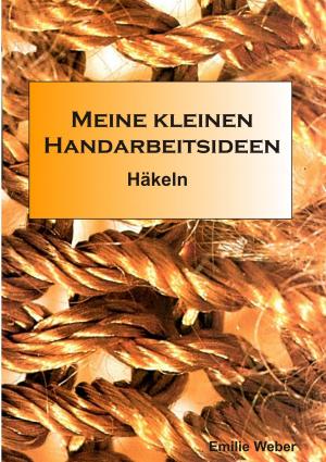 Cover of the book Meine kleinen Handarbeitsideen by Brigitta James