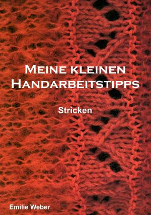 Cover of the book Meine kleinen Handarbeitstipps by cheezombie