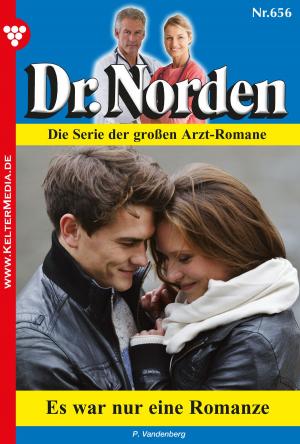 bigCover of the book Dr. Norden 656 – Arztroman by 