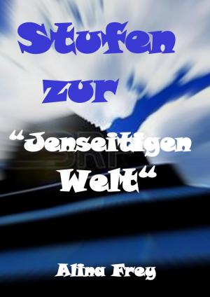 Cover of the book Stufen zur "Jenseitigen Welt" by Katharina Rau