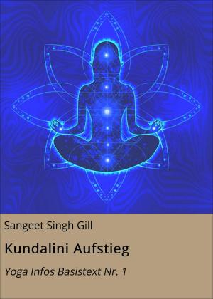 Cover of the book Kundalini Aufstieg by Lucy van Geldern