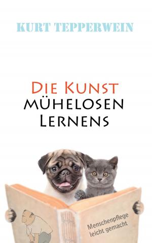 Cover of the book Die Kunst mühelosen Lernens by Bernhard J. Schmidt