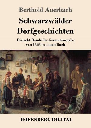 Book cover of Schwarzwälder Dorfgeschichten