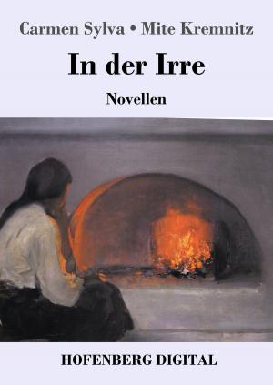 Cover of the book In der Irre by Arthur Schnitzler
